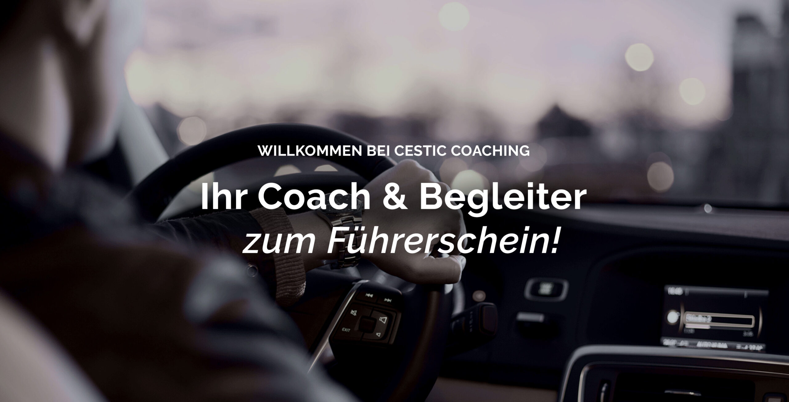 Willkommen bei Cestic Coaching